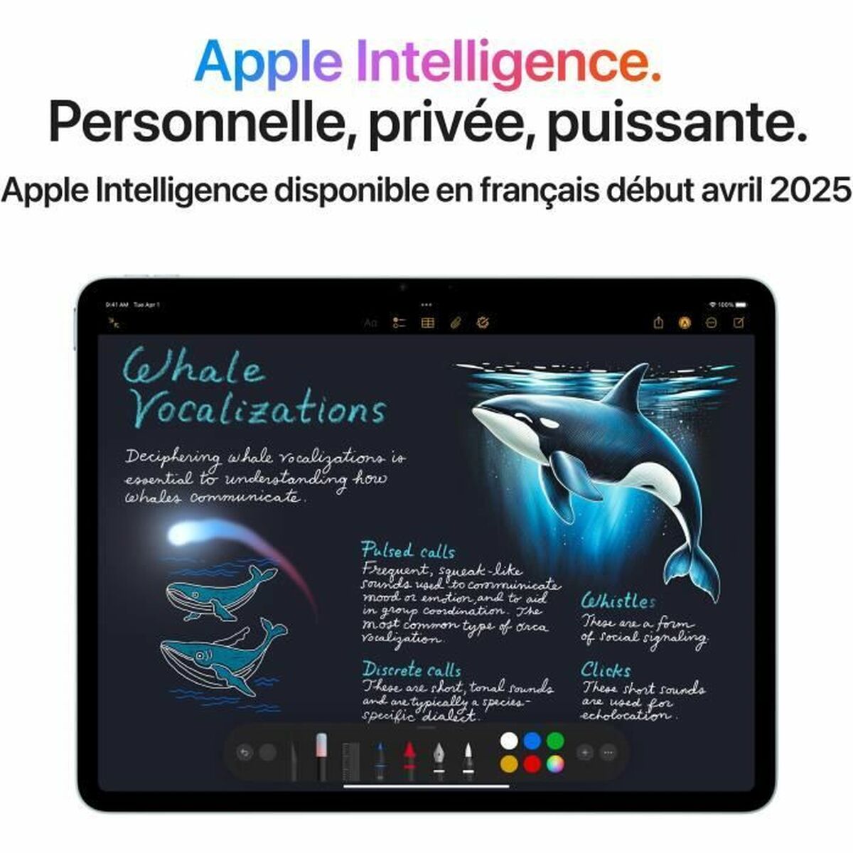 Tablet Apple 13" M3 8 GB RAM 1 TB Blue-2